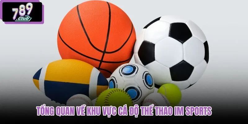 tong-quan-ve-khu-vuc-ca-do-the-thao-im-sports tong-quan-ve-khu-vuc-ca-do-the-thao-im-sports